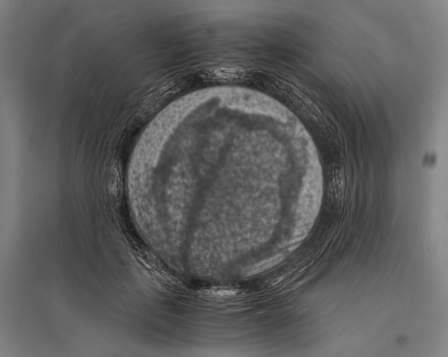 X0000096640651200803041128