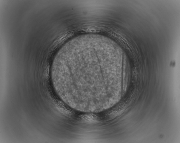 X0000096640652200803041128