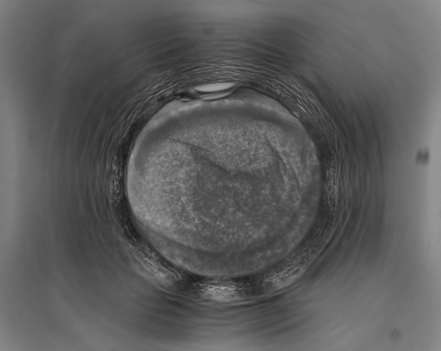 X0000096640653200803041128