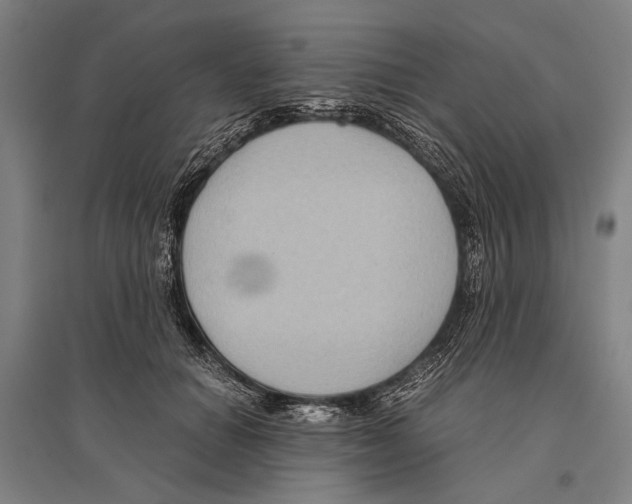 X0000096640654200803041128