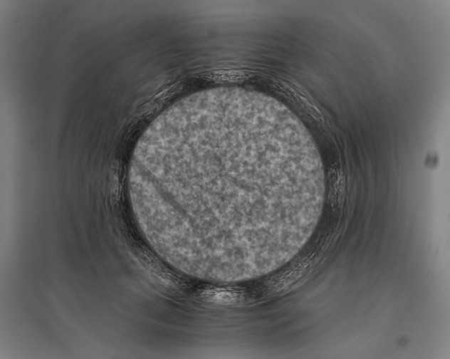 X0000096640655200803041128