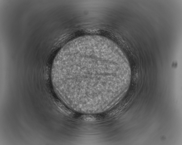 X0000096640658200803041128