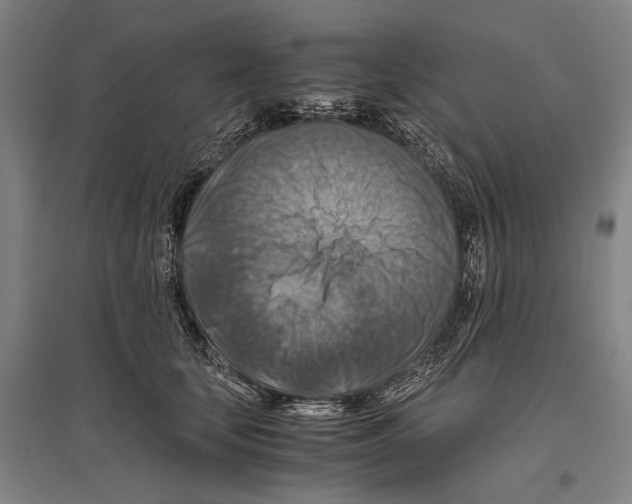 X0000096640659200803041128