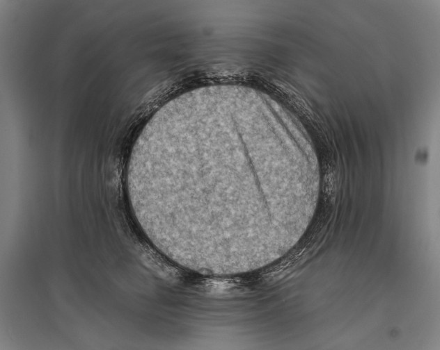 X0000096640662200803041128