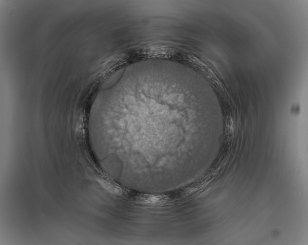 X0000096640663200803041128