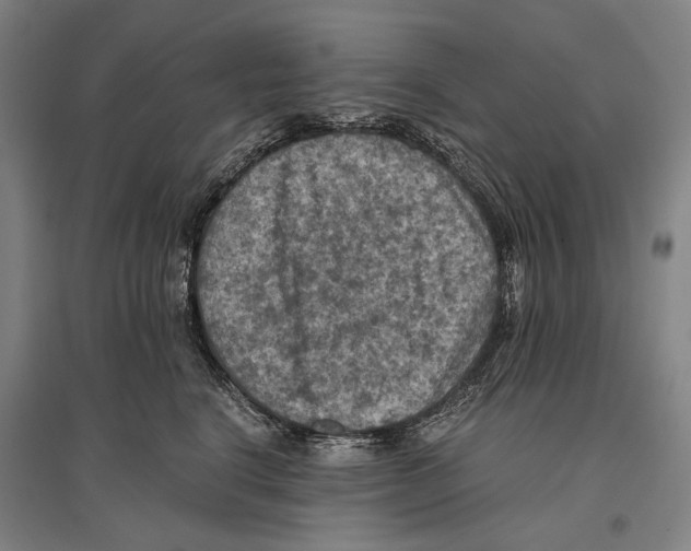 X0000096640664200803041128