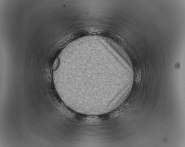 X0000096640666200803041128