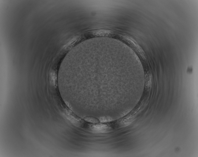 X0000096640669200803041128