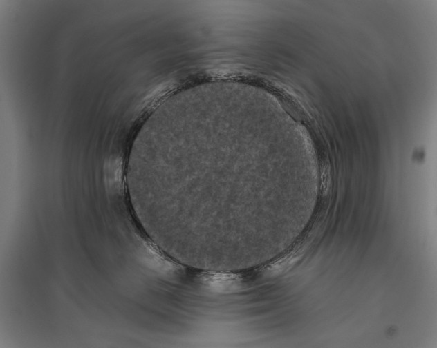 X0000096640670200803041128