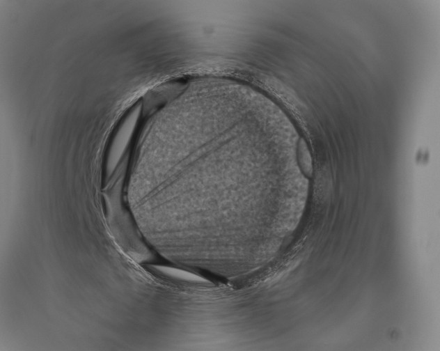 X0000096640673200803041127