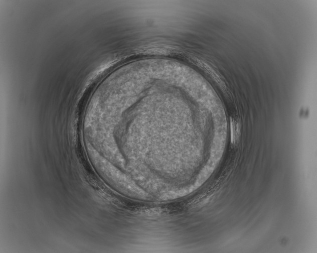 X0000096640675200803041127