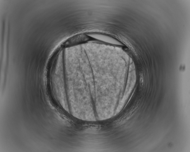 X0000096640676200803041127