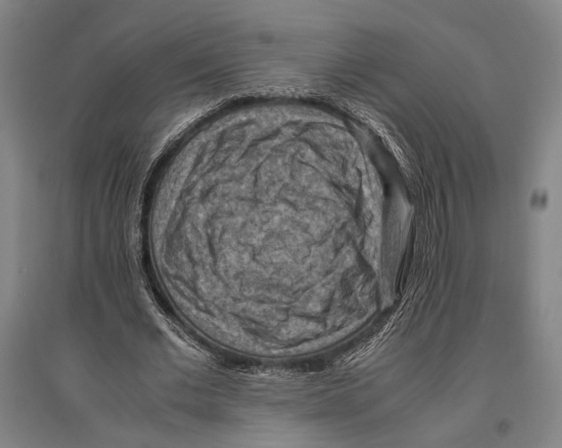 X0000096640677200803041127