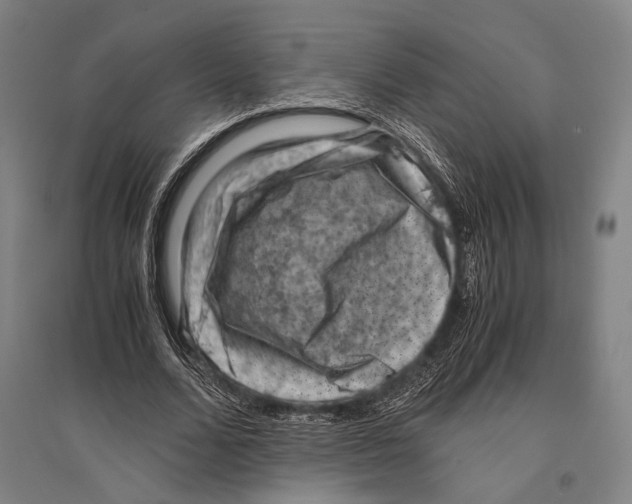 X0000096640680200803041127