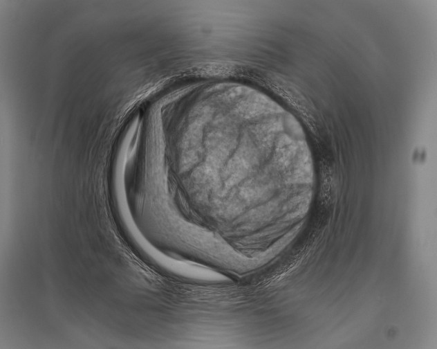 X0000096640681200803041127