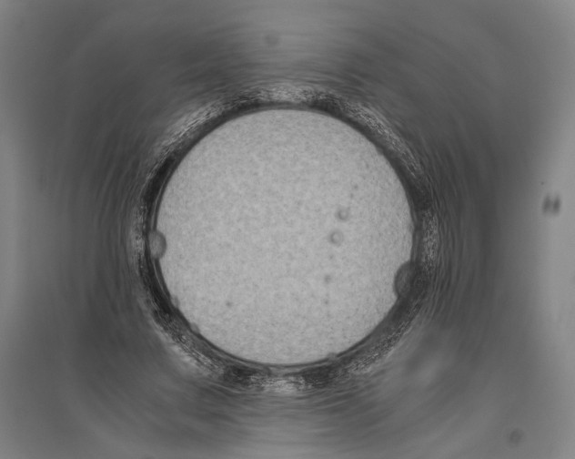 X0000096640683200803041127