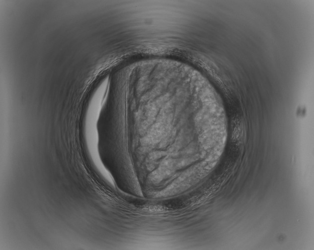 X0000096640685200803041127