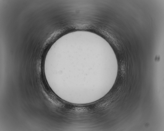 X0000096640686200803041127