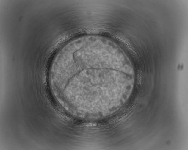 X0000096640687200803041127