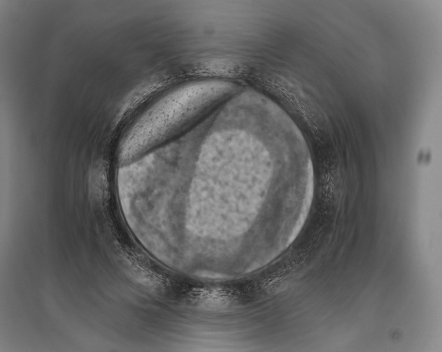 X0000096640688200803041127