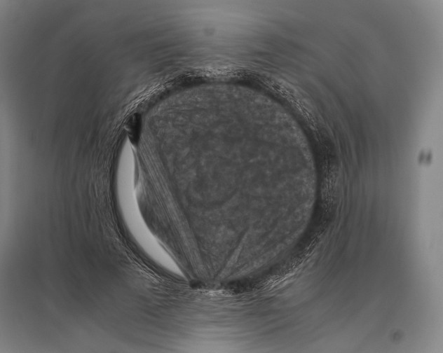 X0000096640689200803041127