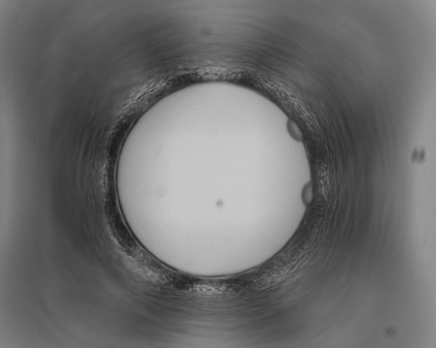 X0000096640690200803041127