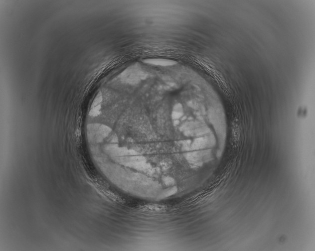 X0000096640691200803041127