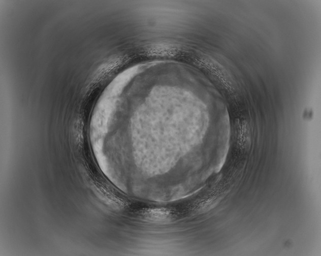 X0000096640692200803041127