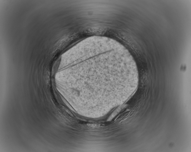 X0000096640693200803041127