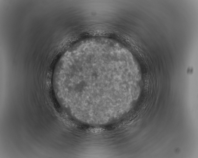 X0000096640695200803041127