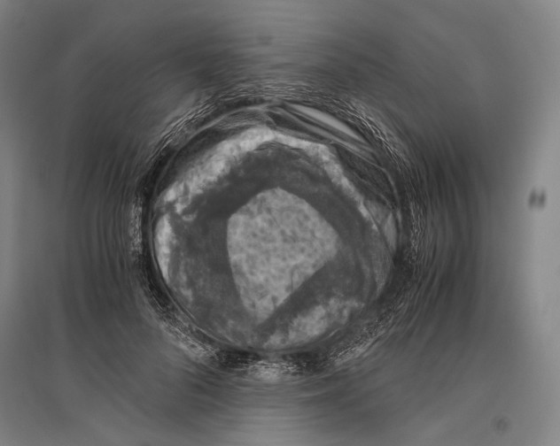 X0000096640696200803041127