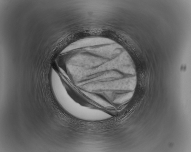 X0000096640697200803041127