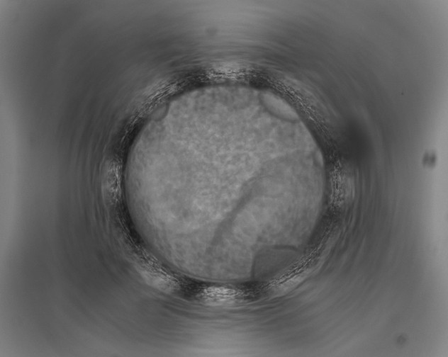 X0000096640699200803041127