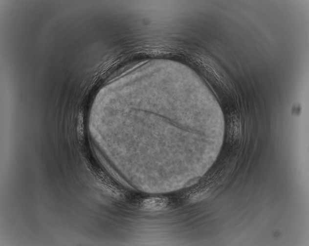 X0000096640700200803041127