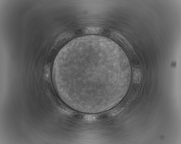 X0000096640701200803041127