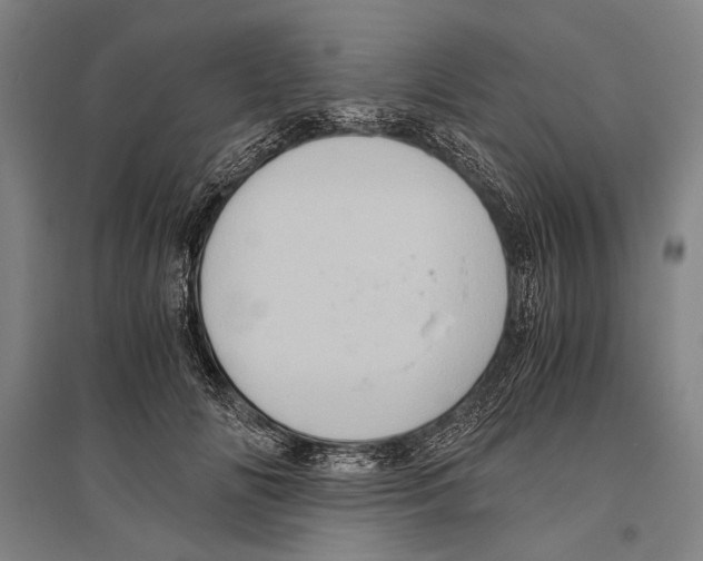 X0000096640702200803041126