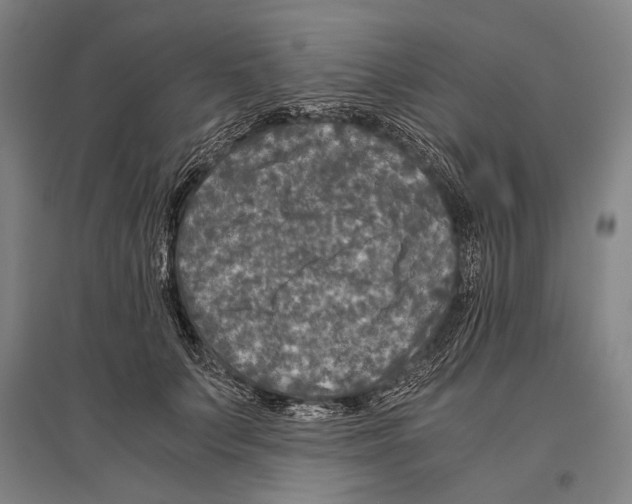 X0000096640703200803041126