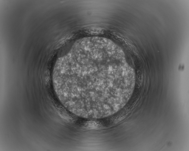 X0000096640704200803041126