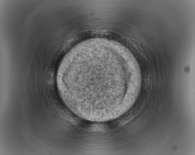 X0000096640708200803041126