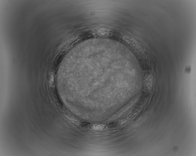 X0000096640709200803041126