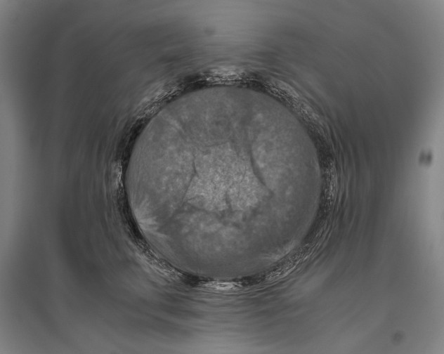 X0000096640711200803041126