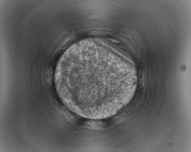 X0000096640712200803041126