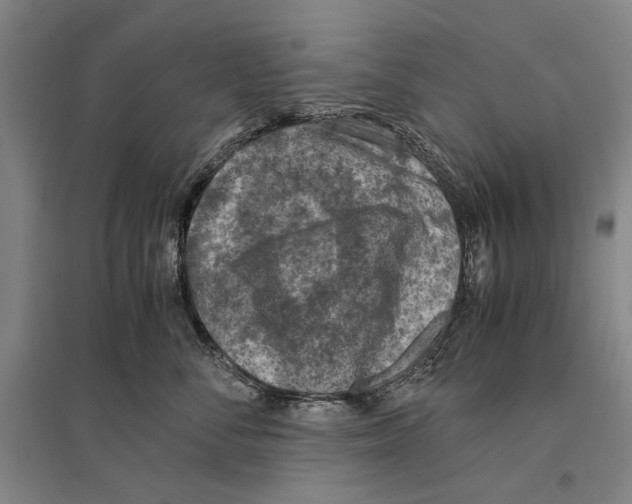 X0000096640716200803041126