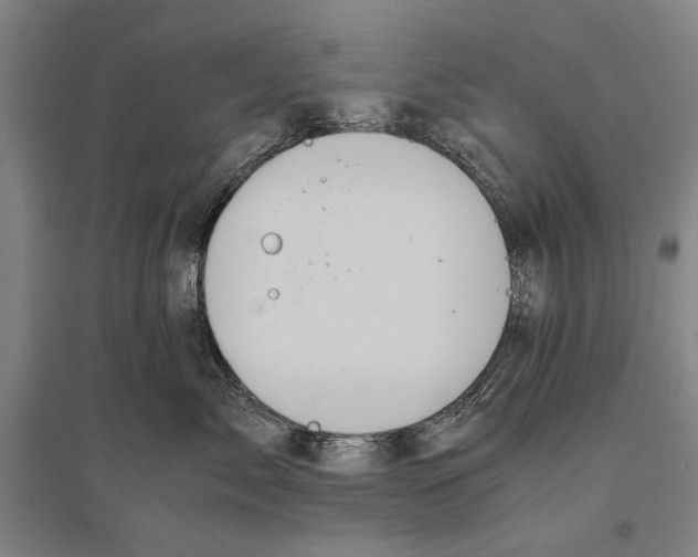 X0000096640717200803041126