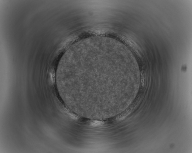 X0000096640718200803041126