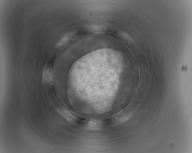 X0000096640720200803041126