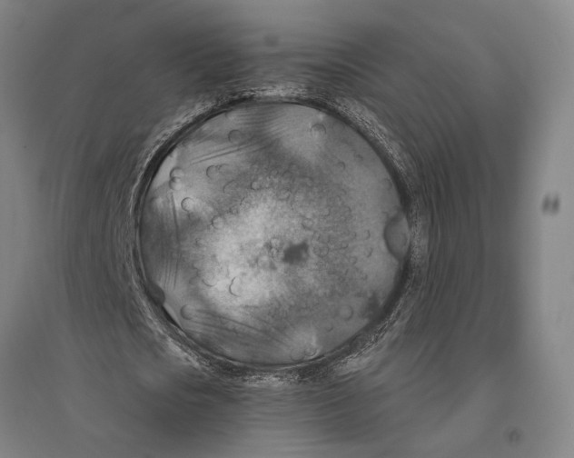 X0000096640721200803041126