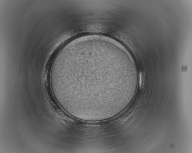 X0000096640723200803041126