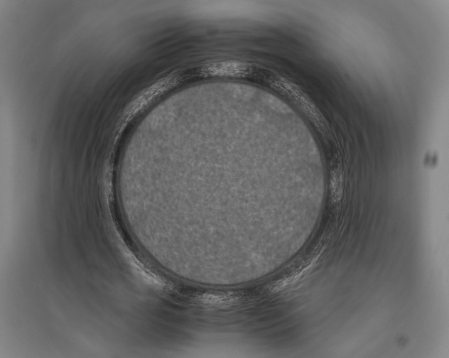 X0000096640725200803041126