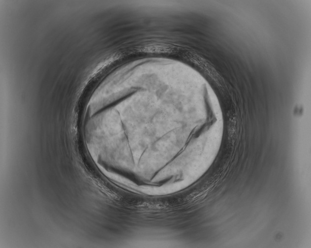 X0000096640727200803041126